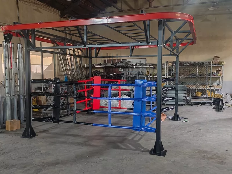 Warum sollten Sie sich mit einem Standard-Boxring zufrieden geben, wenn Sie einen All-in-One-Trainingshub nach Maß haben können?