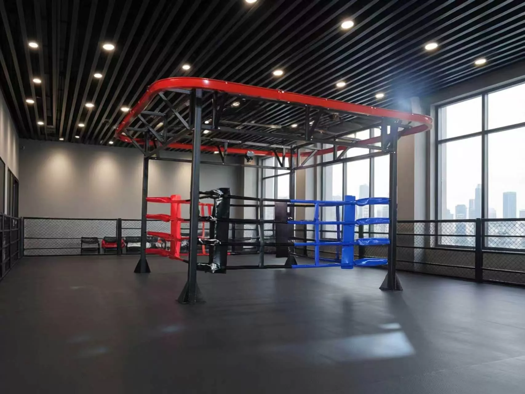 Möchten Sie Ringsparring, Training mit schweren Taschen und funktionelles Fitnesstraining auf einem einzigen Gerät kombinieren?