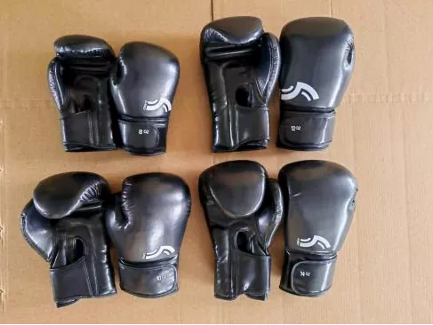 Pandawin Sports Boxhandschuhe: Welches Modell passt am besten zu Ihrer Trainingsintensität und Ihrem Budget?